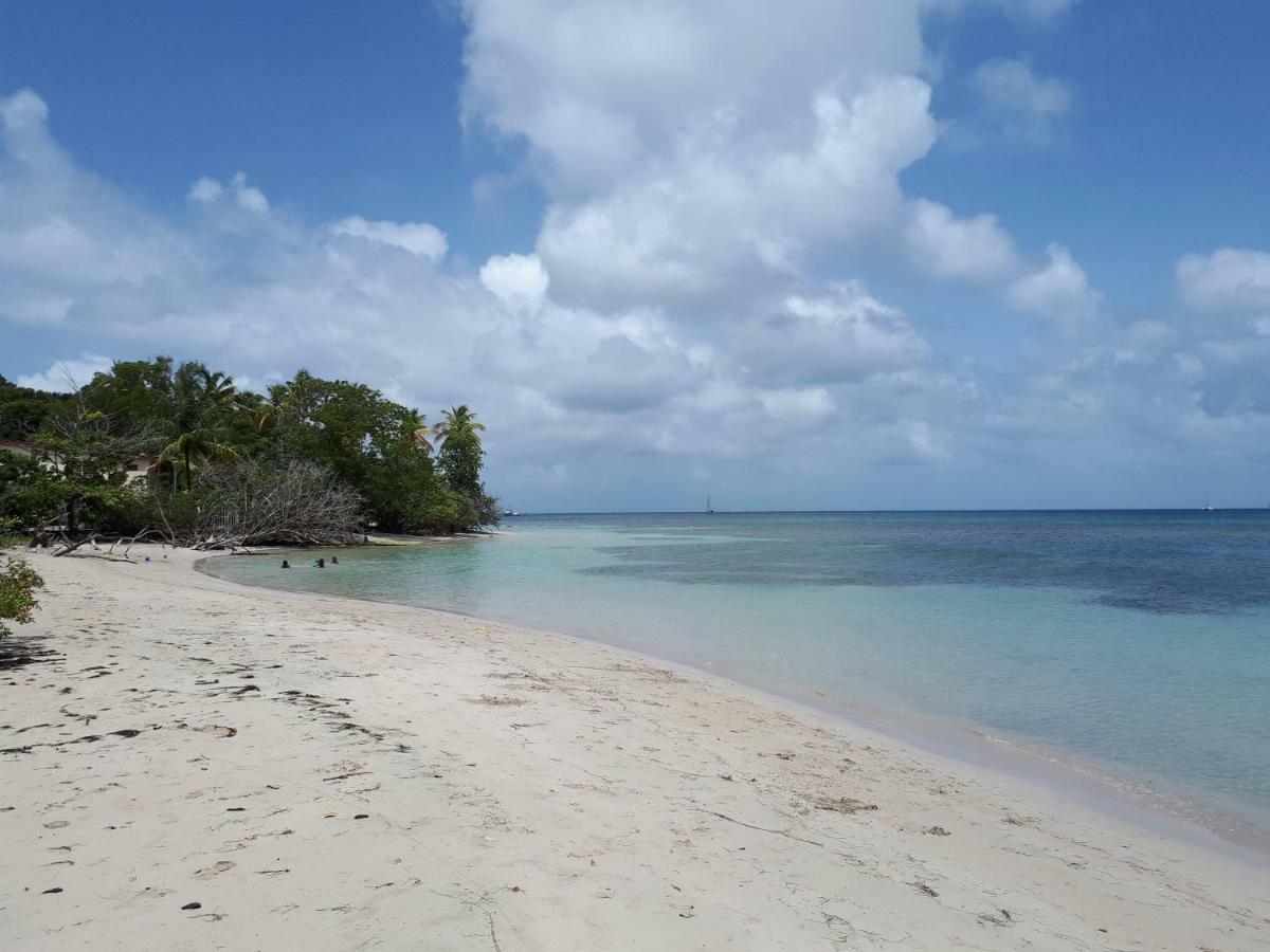 Ti Studio Creole Mahogany Sainte-Anne Bagian luar foto